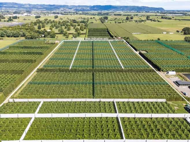 163C Western Drain Road, Edgecumbe