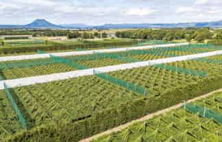 163C Western Drain Road, Edgecumbe