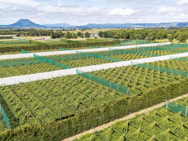 163C Western Drain Road, Edgecumbe