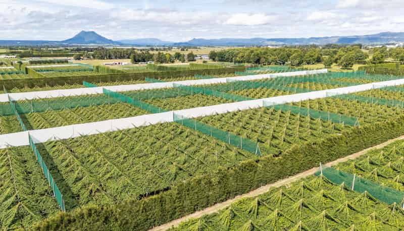 163C Western Drain Road, Edgecumbe