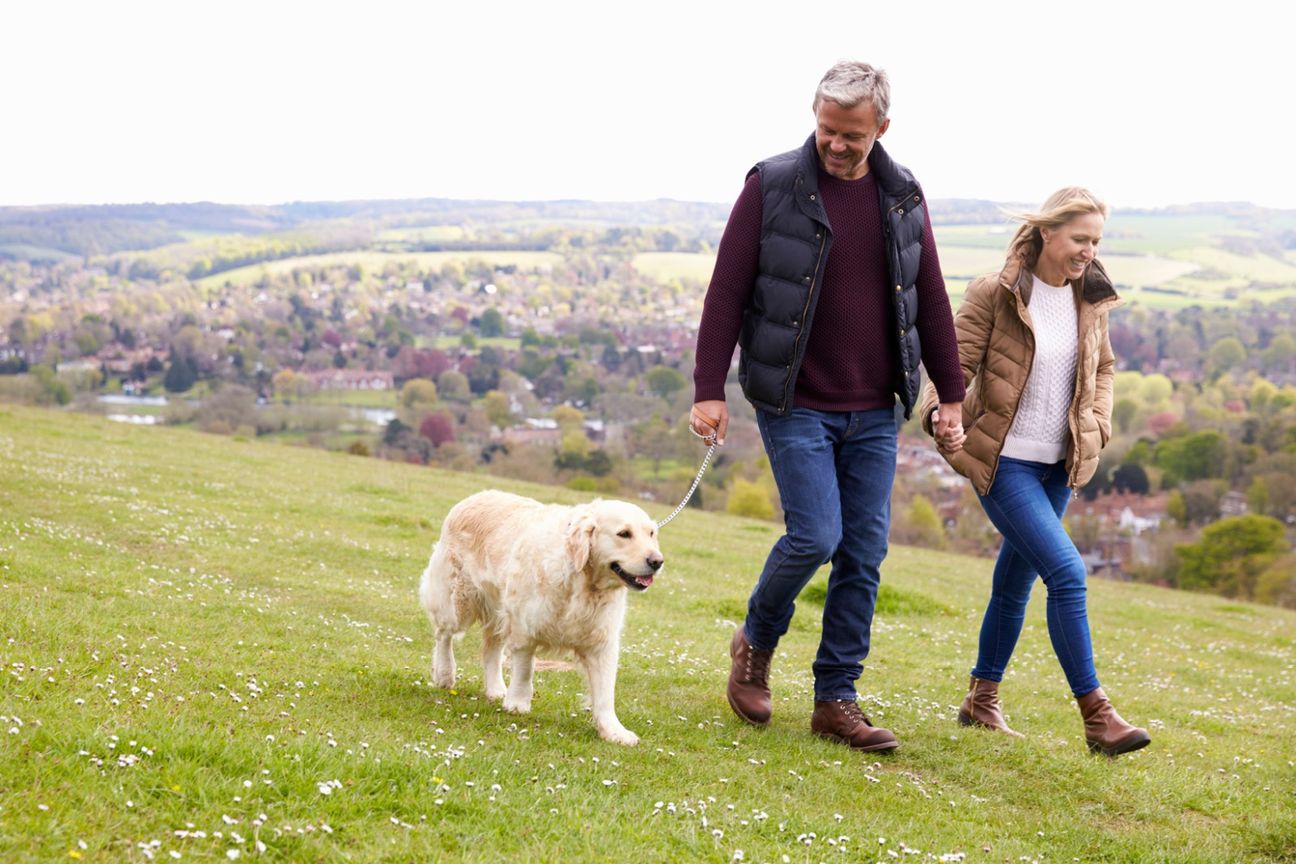 Whitford Hills – Elevated Lifestyle Living - Widok 6