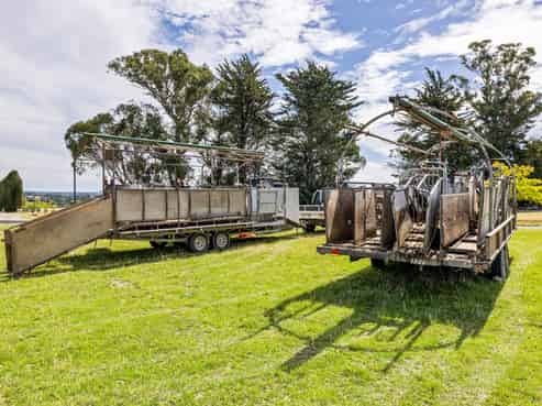 Mobile Crutching Business For Sale