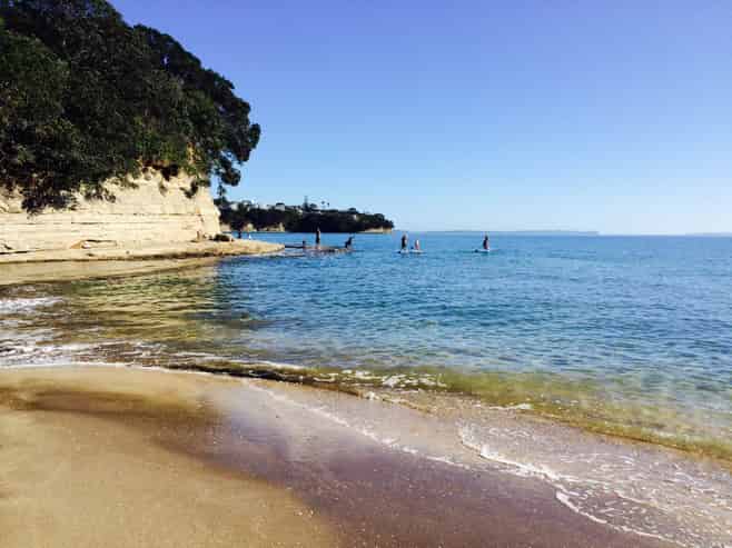 16C Hastings Road, Mairangi Bay