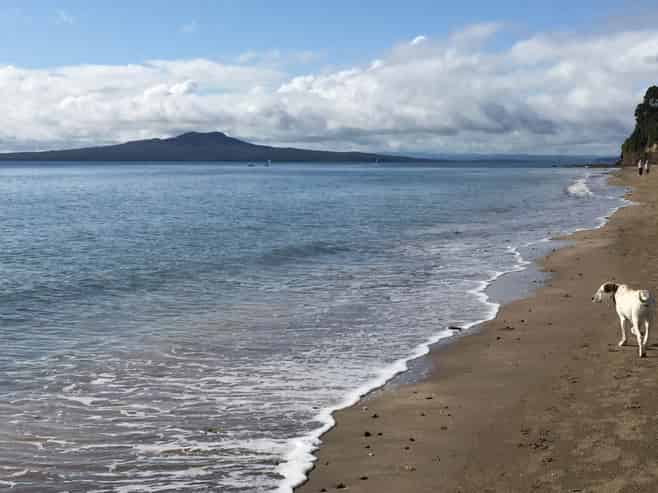 16C Hastings Road, Mairangi Bay