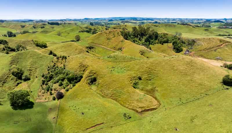 162 Standish Road, Toko