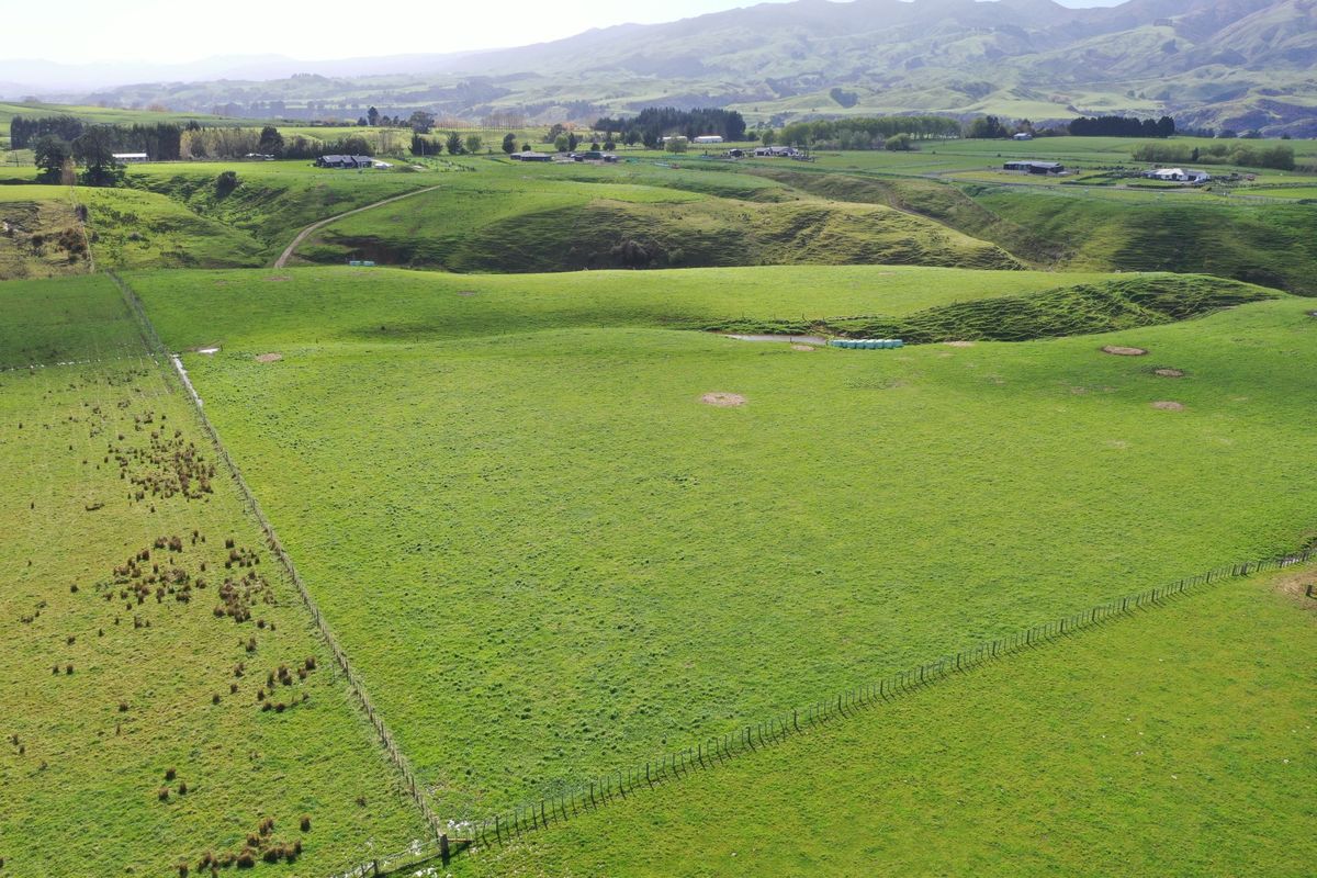 20 hectares of grazing land - Ansicht 6