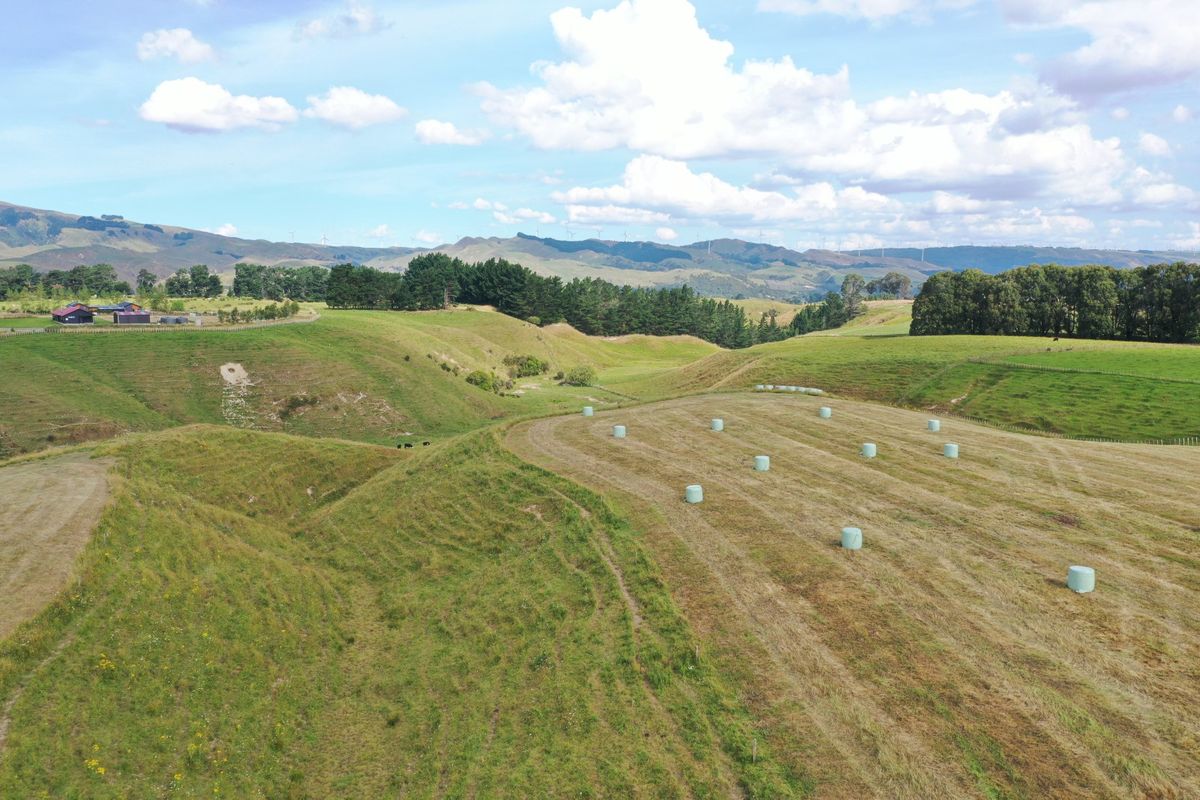 20 hectares of grazing land - Ansicht 4