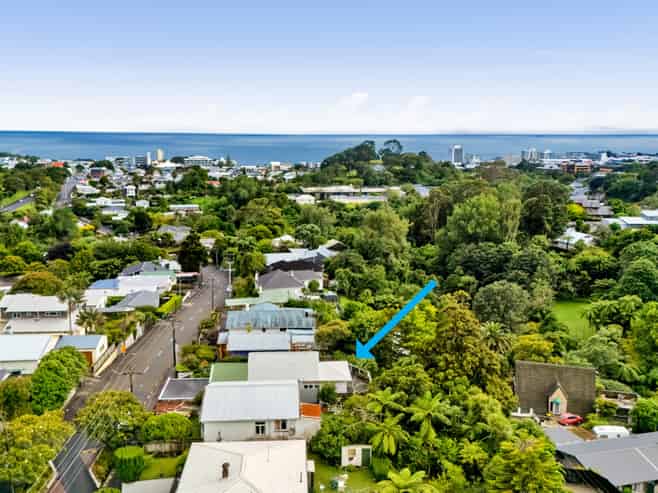 55 Mill Road, Vogeltown