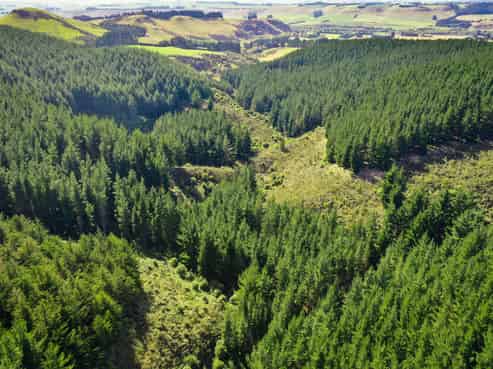 Bushy Creek Road, Duntroon
