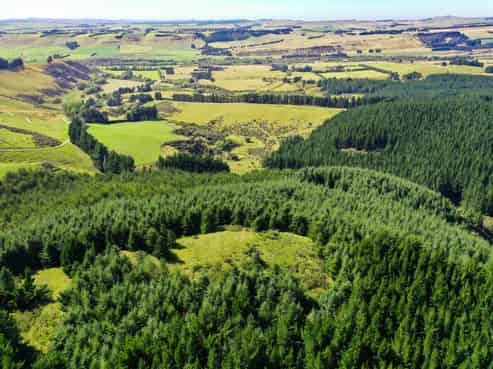Bushy Creek Road, Duntroon