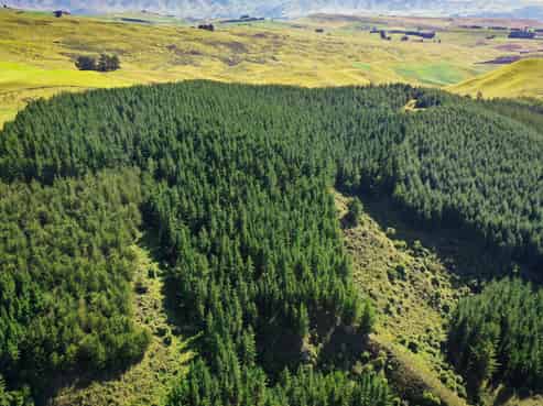 Bushy Creek Road, Duntroon