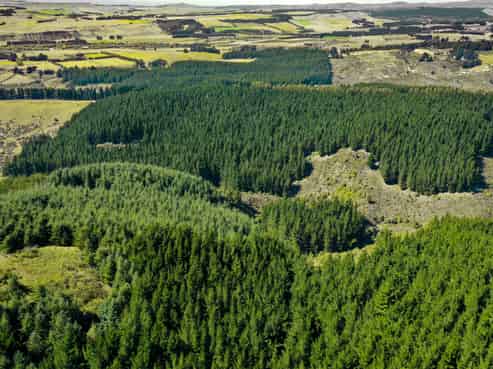 Bushy Creek Road, Duntroon