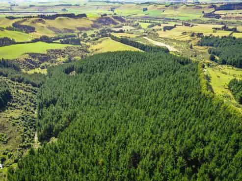 Bushy Creek Road, Duntroon