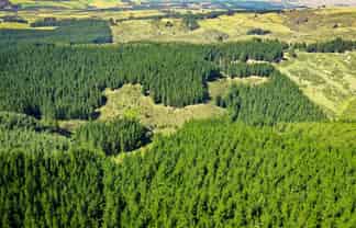 Bushy Creek Road, Duntroon