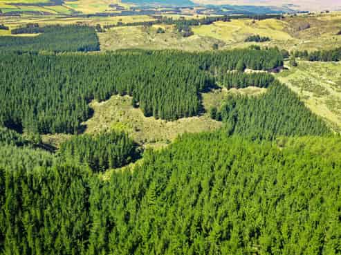 Bushy Creek Road, Duntroon