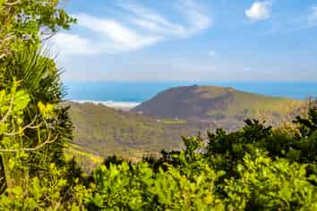 143 Jonkers Road, Waitakere