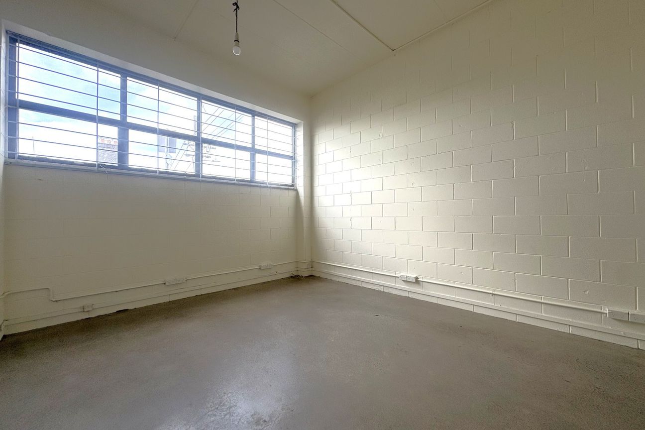 Cost Effective Creative Space in Grey Lynn – pohled 4