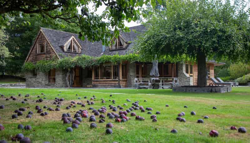 11 Arrowtown-Lake Hayes Road, Lake Hayes Estate