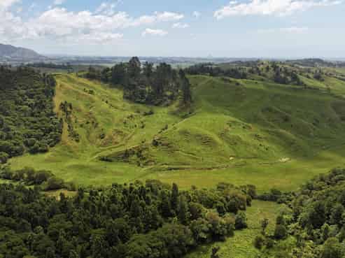 636 Otara Road, Opotiki