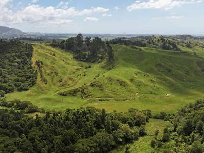 636 Otara Road, Opotiki