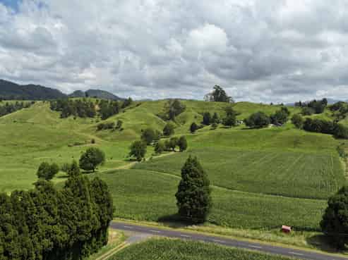 636 Otara Road, Opotiki