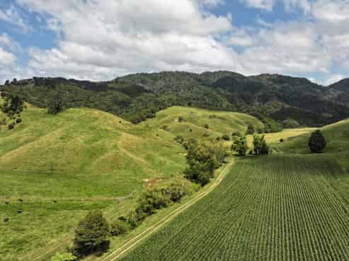 636 Otara Road, Opotiki