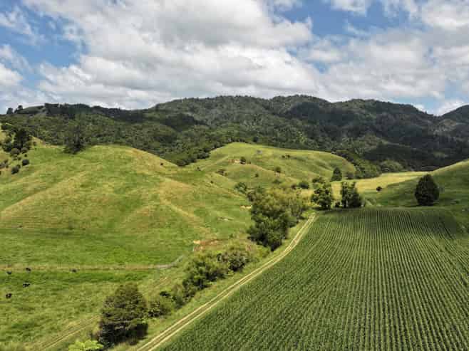 636 Otara Road, Opotiki