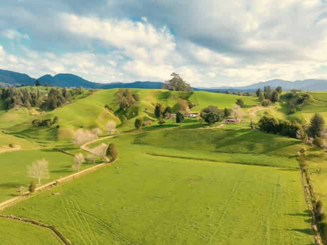 636 Otara Road, Opotiki