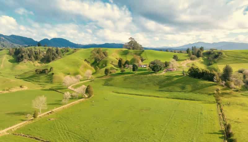 636 Otara Road, Opotiki
