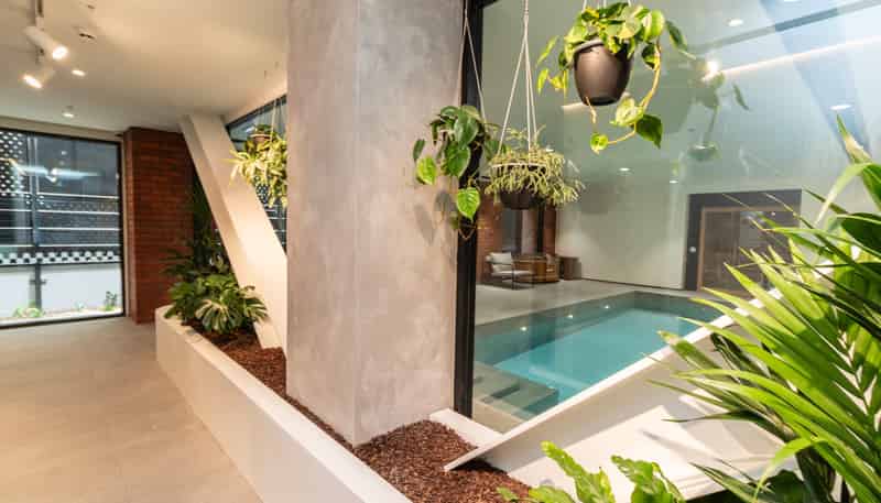 913/10 Alpha Street, Wellington Central