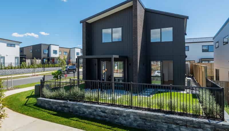 19 Karamu Street, Flat Bush