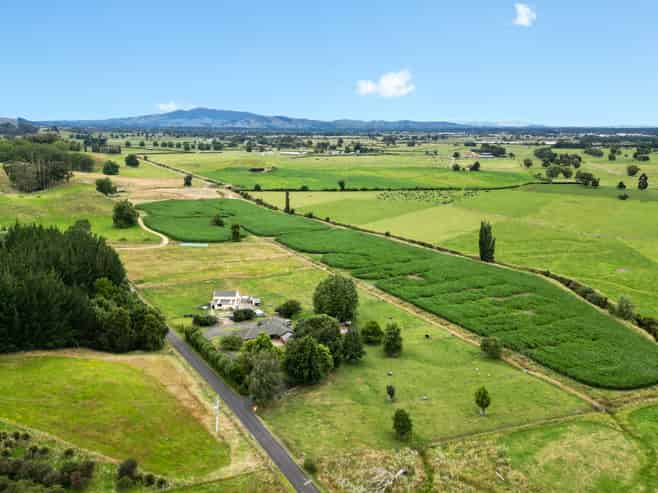 104 Beer Road, Tauwhare
