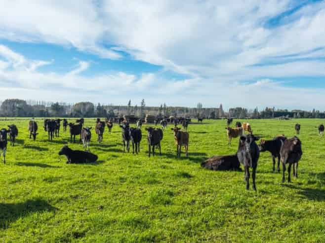 2058 Ashburton Staveley Road, Ashburton Forks