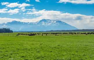 2058 Ashburton Staveley Road, Ashburton Forks