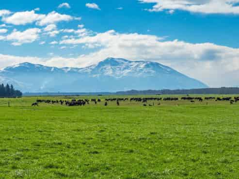 2058 Ashburton Staveley Road, Methven