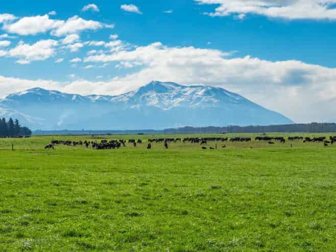 2058 Ashburton Staveley Road, Ashburton Forks