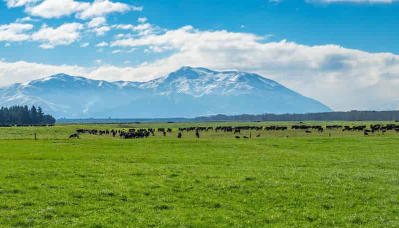 2058 Ashburton Staveley Road, Ashburton Forks