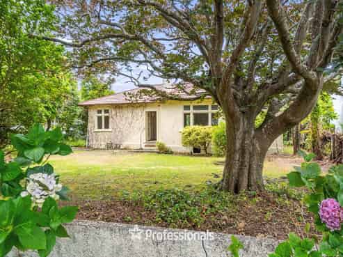 37 Hardy Street, Waterloo