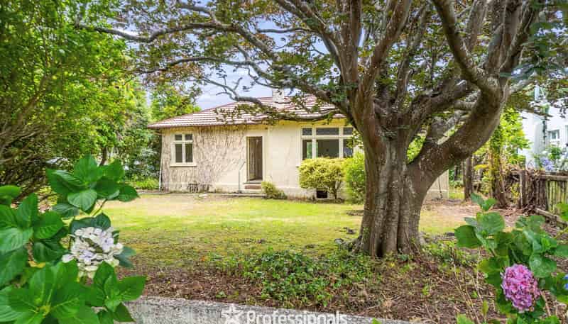 37 Hardy Street, Waterloo