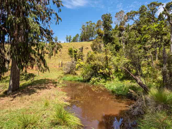 121 Gomez Road, Hikurangi