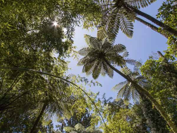 425B Lund Road, Katikati