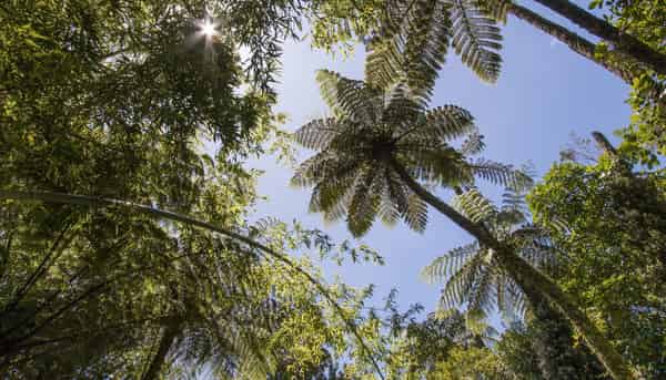 425B Lund Road, Katikati