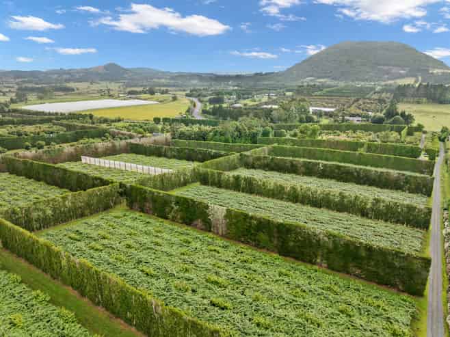 1614 State Highway 14, Maungatapere