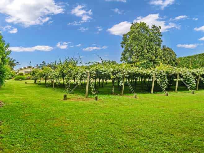 1614 State Highway 14, Maungatapere