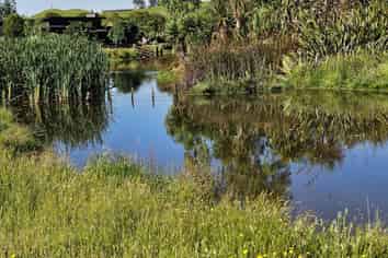 143C Smith Road, Dannevirke