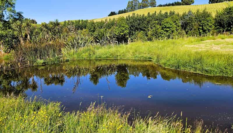 143C Smith Road, Dannevirke