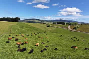1965 Ohai Clifden Highway, Merrivale