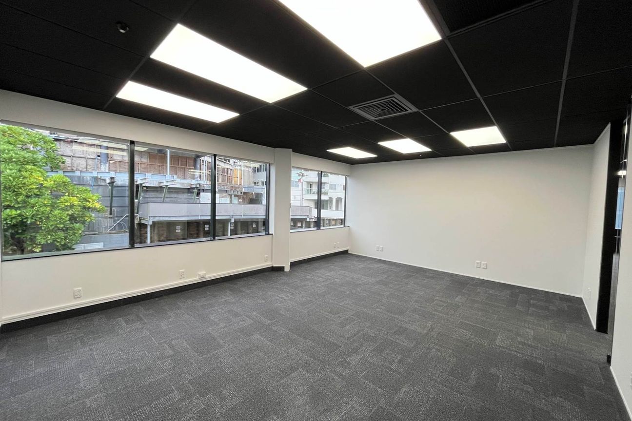 MODERN FREEMANS BAY OFFICE - Ansicht 5