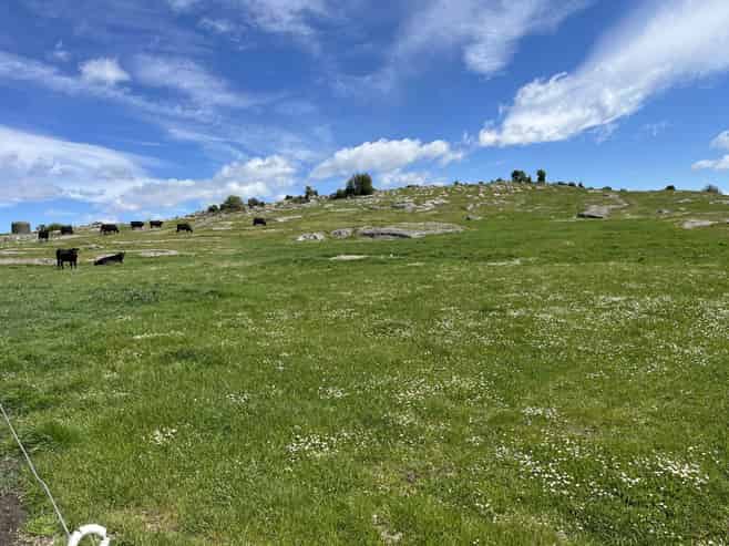 255 Fortification Rd, Kakanui