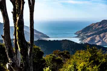 A Landmark Adventure New Zealand Tourism Business